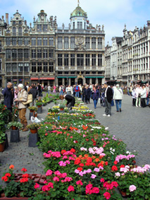 Por las mañanas, en la Grand Place se celebra un atractivo mercado de flores