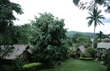 El paisaje que rodea Mae Hong Son forma parte de su atractivo